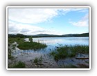Landscapes