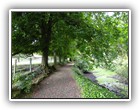 Trees Walkways and Streams